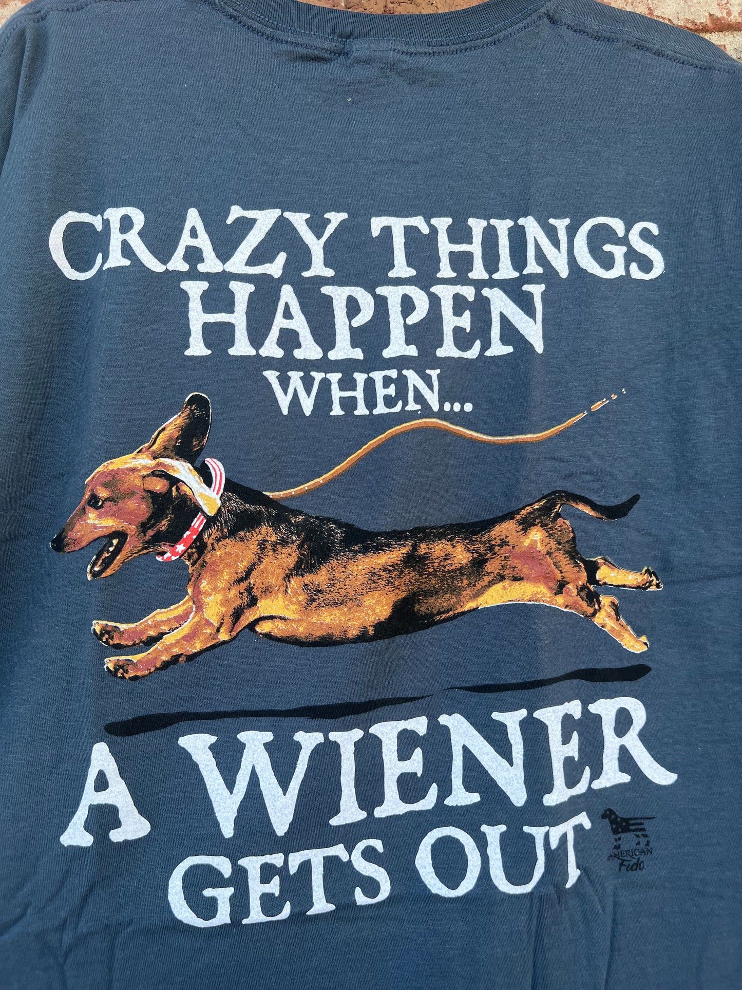 Dachshund Funny T Shirt / Crazy Things Happen When The Weiner Gets Out