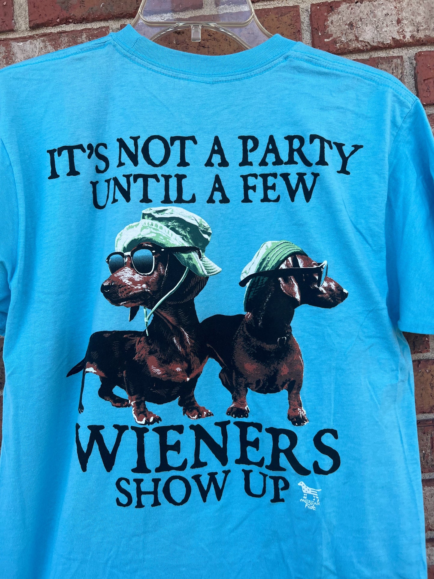 Dachshund Funny Graphic Tee / It's Not A Party Until A Few Weiners Show Up