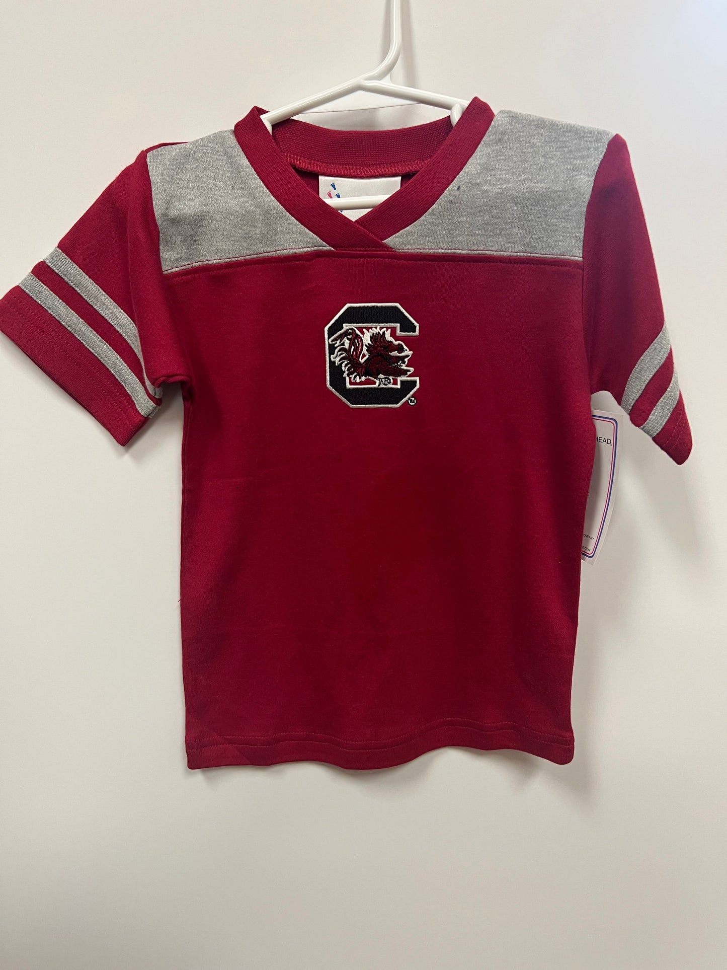 Kids Garnet/Grey T Shirt