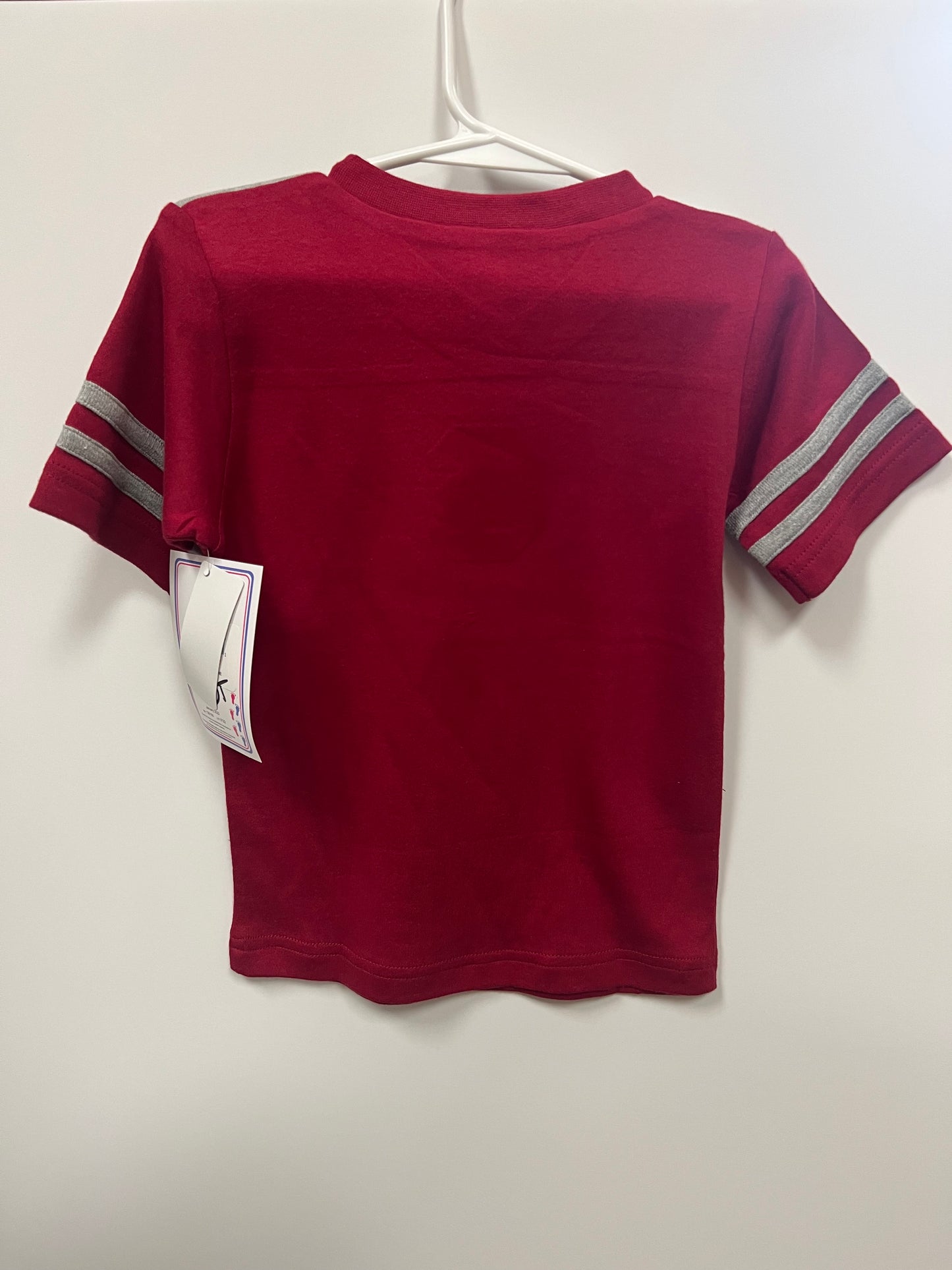 Kids Garnet/Grey T Shirt