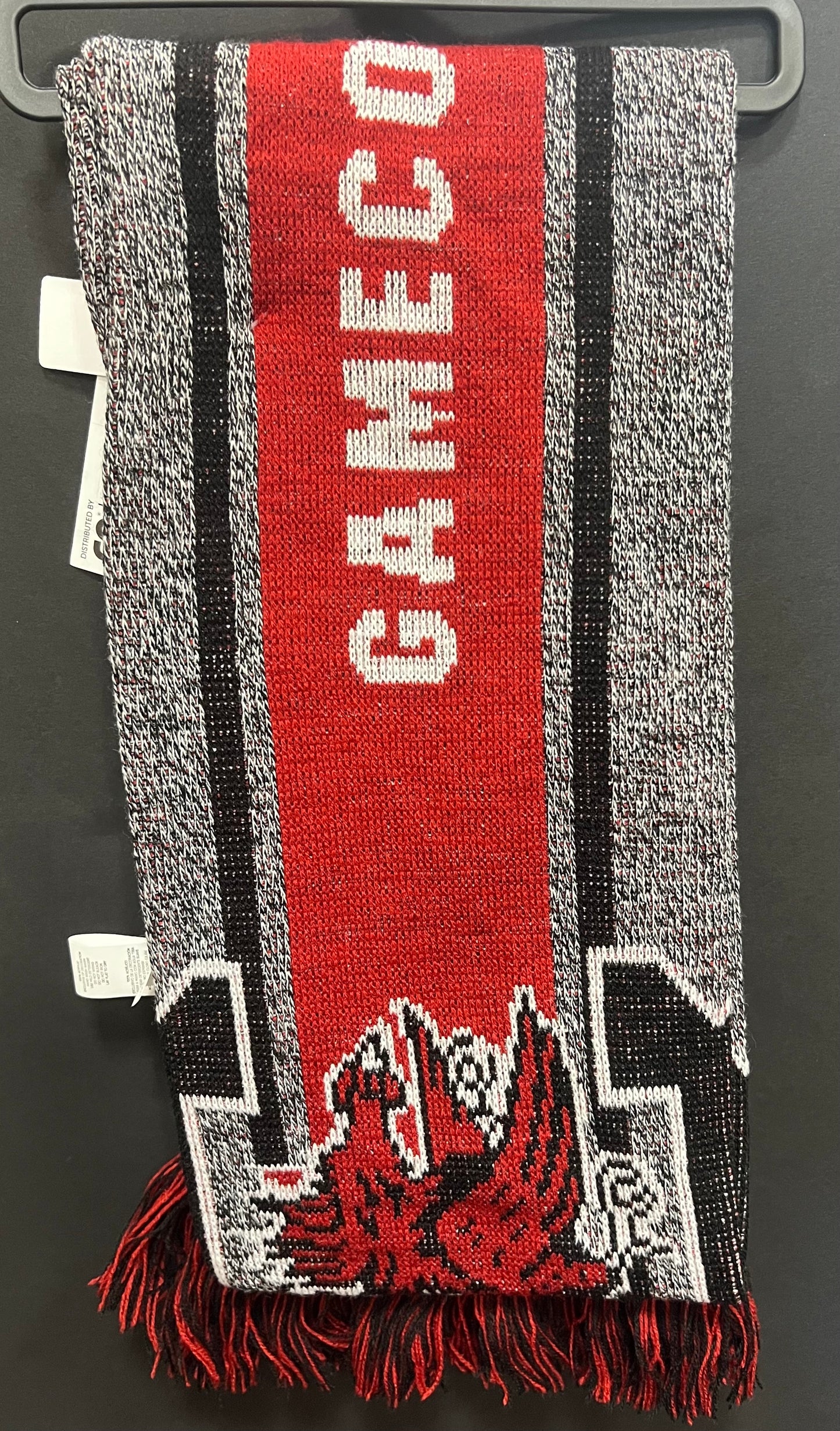 Gamecocks Scarf