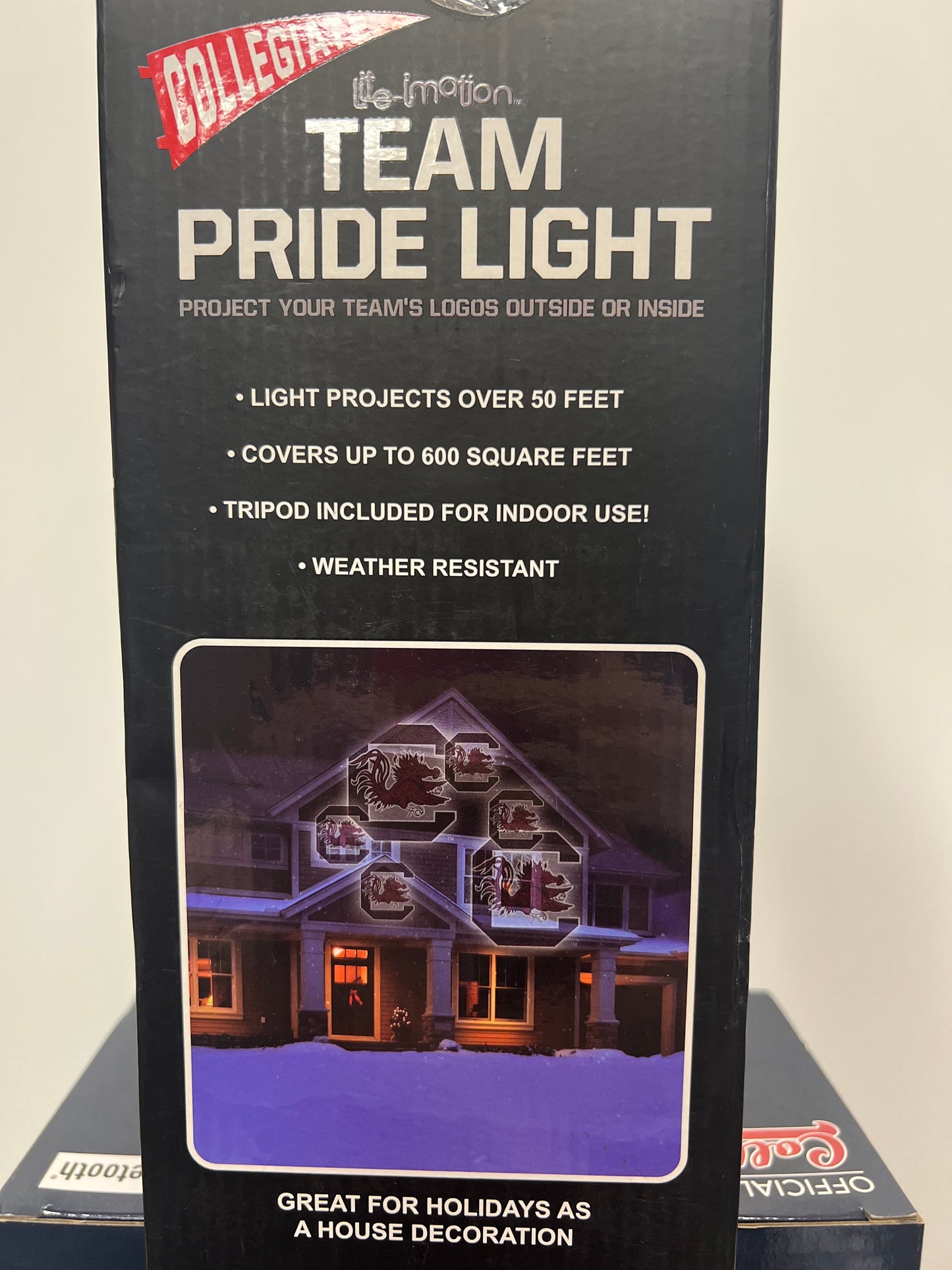 Team Pride light | Projected light